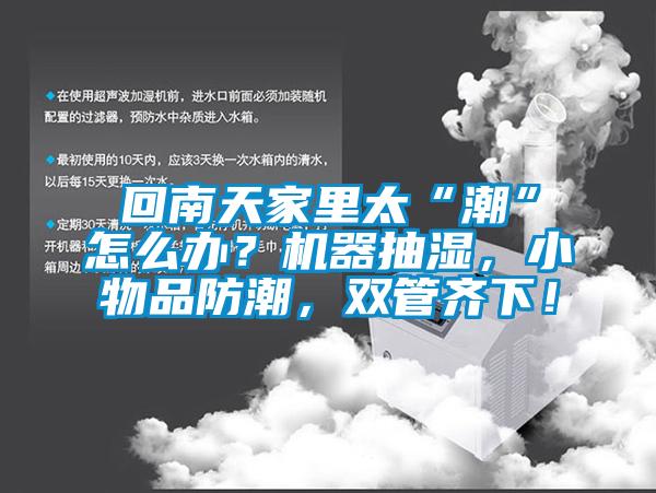 回南天家里太“潮”怎么辦？機器抽濕，小物品防潮，雙管齊下！