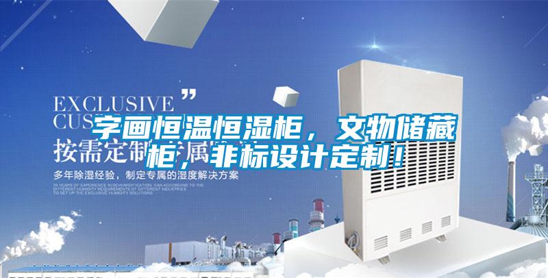 字畫恒溫恒濕柜，文物儲藏柜，非標設計定制！