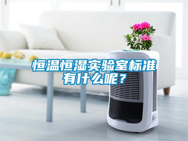 恒溫恒濕實(shí)驗(yàn)室標(biāo)準(zhǔn)有什么呢？