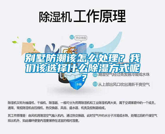 別墅防潮該怎么處理？我們該選擇什么除濕方式呢？
