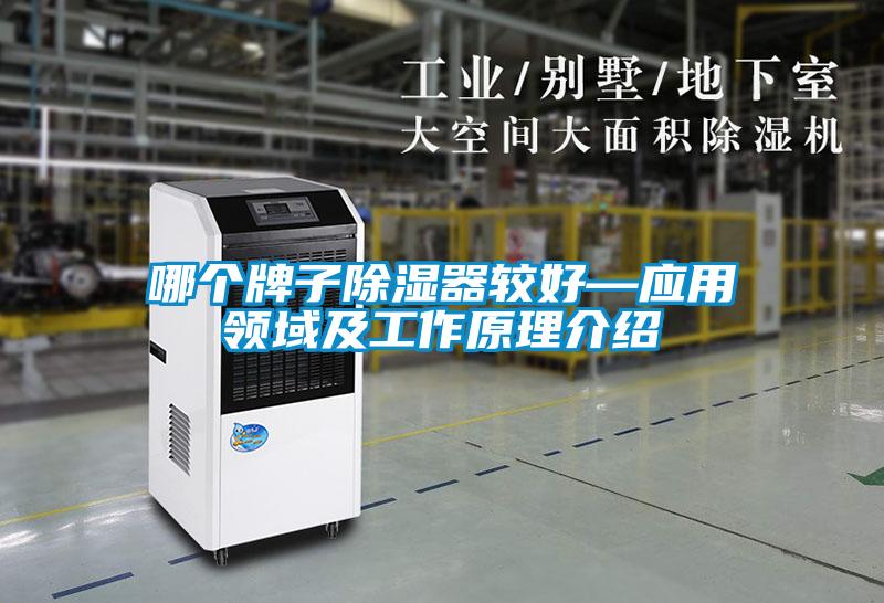 哪個(gè)牌子除濕器較好—應(yīng)用領(lǐng)域及工作原理介紹