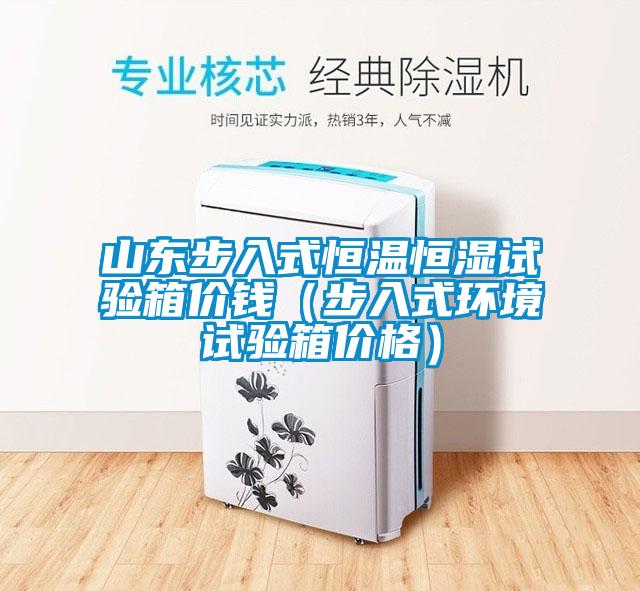 山東步入式恒溫恒濕試驗箱價錢（步入式環境試驗箱價格）