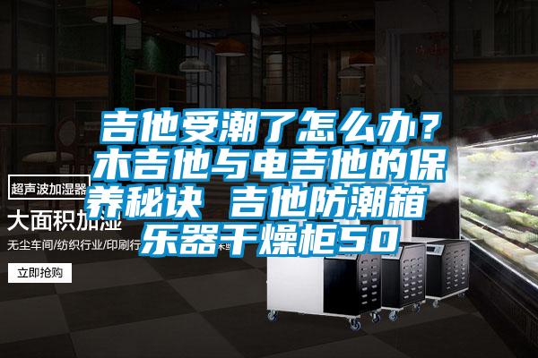 吉他受潮了怎么辦？木吉他與電吉他的保養秘訣 吉他防潮箱 樂器干燥柜50
