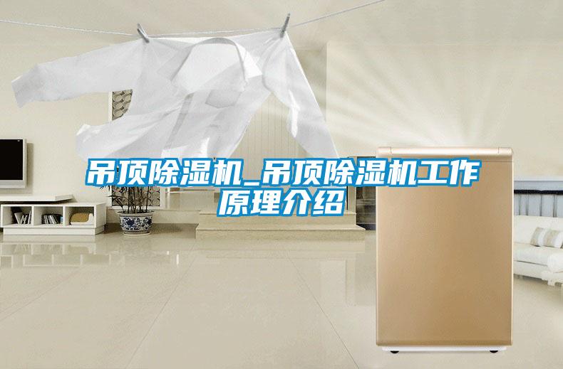 吊頂除濕機(jī)_吊頂除濕機(jī)工作原理介紹