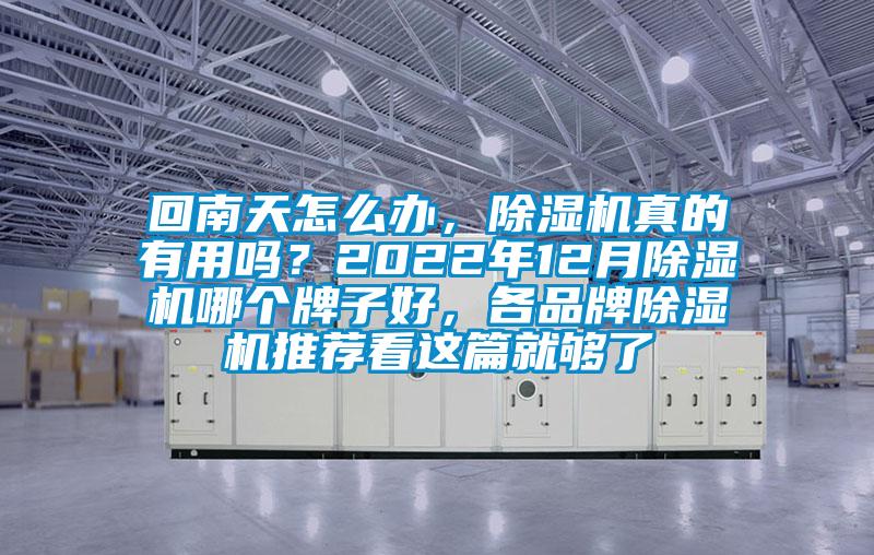 回南天怎么辦，除濕機真的有用嗎？2022年12月除濕機哪個牌子好，各品牌除濕機推薦看這篇就夠了