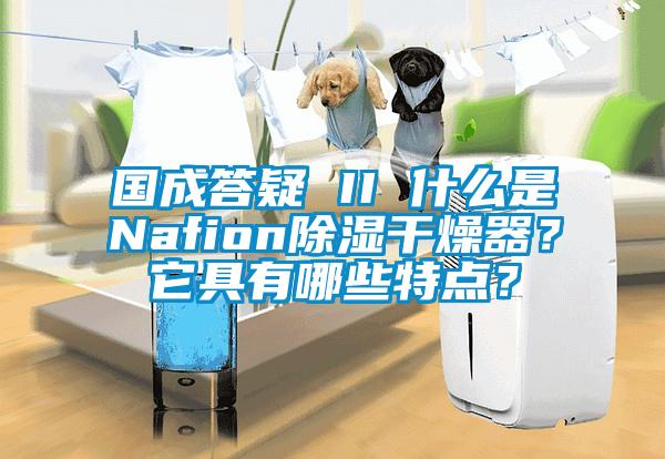 國成答疑 II 什么是Nafion除濕干燥器？它具有哪些特點？