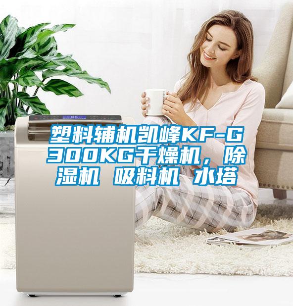 塑料輔機(jī)凱峰KF-G300KG干燥機(jī)，除濕機(jī) 吸料機(jī) 水塔