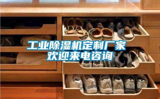 工業除濕機定制廠家 歡迎來電咨詢