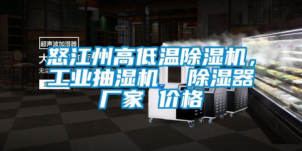 怒江州高低溫除濕機，工業抽濕機  除濕器廠家 價格