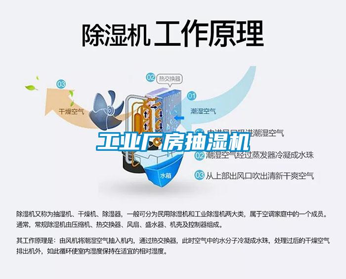 工業廠房抽濕機