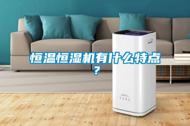 恒溫恒濕機有什么特點？