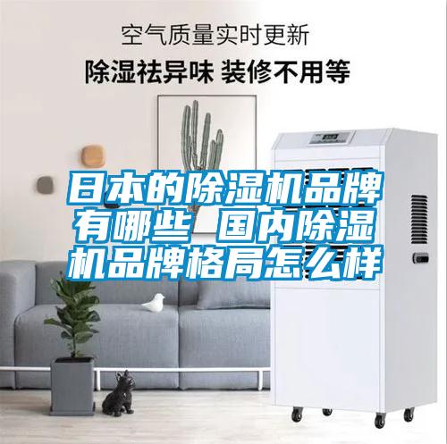 日本的除濕機品牌有哪些 國內除濕機品牌格局怎么樣