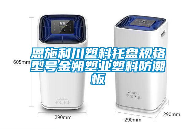 恩施利川塑料托盤規格型號金朔塑業塑料防潮板
