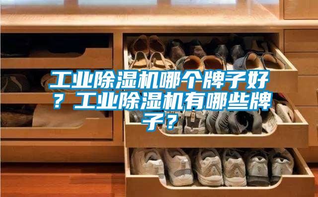 工業除濕機哪個牌子好？工業除濕機有哪些牌子？