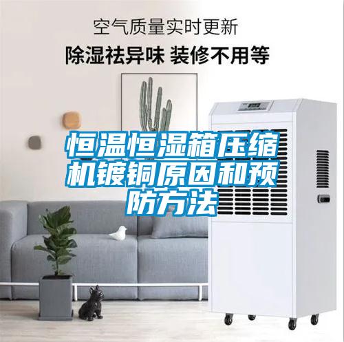 恒溫恒濕箱壓縮機鍍銅原因和預防方法