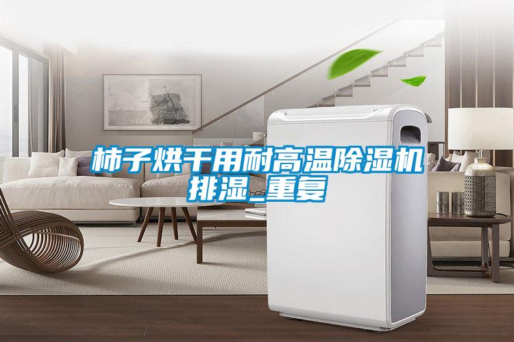 柿子烘干用耐高溫除濕機排濕_重復
