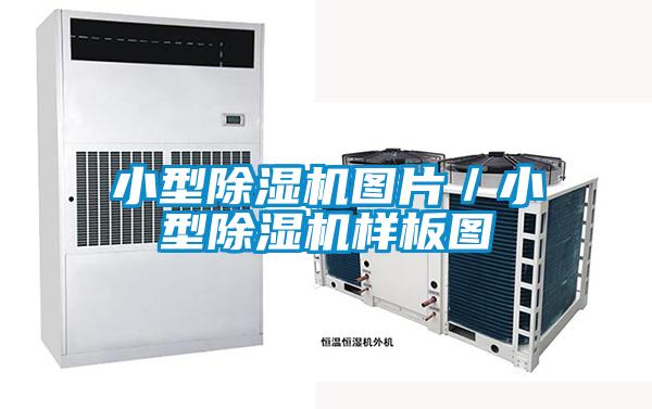小型除濕機圖片／小型除濕機樣板圖