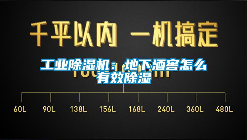 工業除濕機：地下酒窖怎么有效除濕