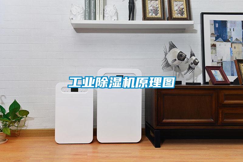 工業除濕機原理圖