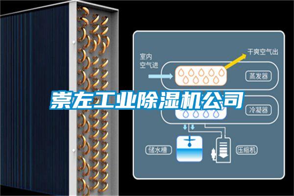 崇左工業(yè)除濕機公司