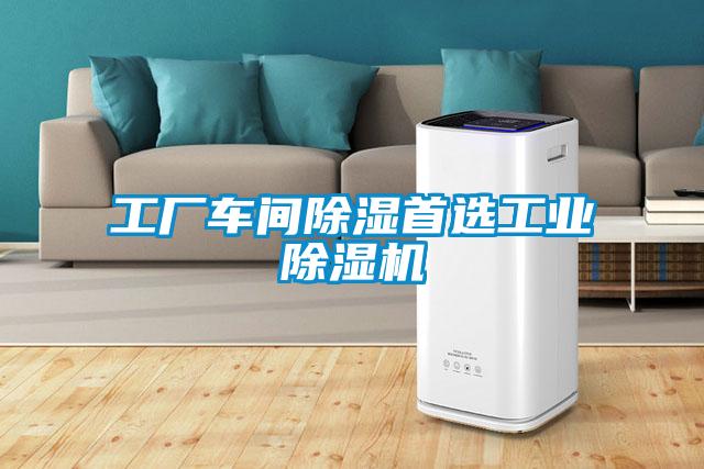 工廠車間除濕首選工業除濕機