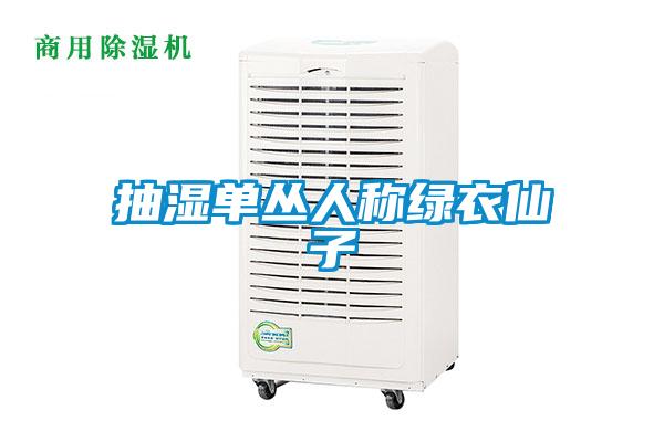 抽濕單叢人稱(chēng)綠衣仙子
