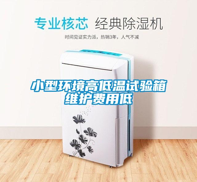 小型環境高低溫試驗箱維護費用低