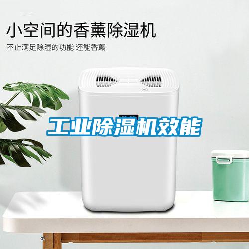 工業(yè)除濕機效能