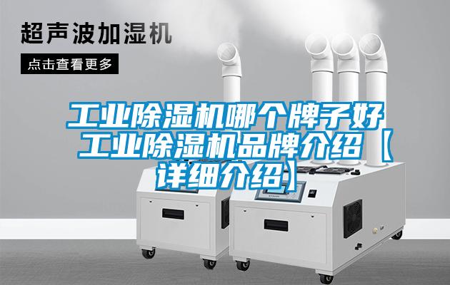 工業(yè)除濕機哪個牌子好 工業(yè)除濕機品牌介紹【詳細介紹】