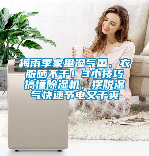 梅雨季家里濕氣重、衣服曬不干！3小技巧搞懂除濕機，擺脫濕氣快速節電又干爽