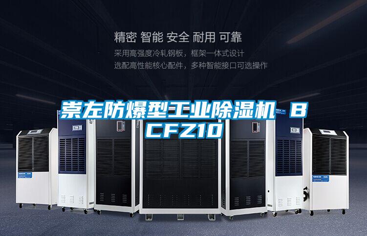 崇左防爆型工業(yè)除濕機 BCFZ10