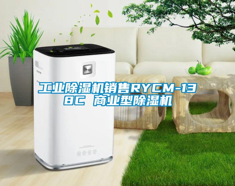 工業除濕機銷售RYCM-138C 商業型除濕機