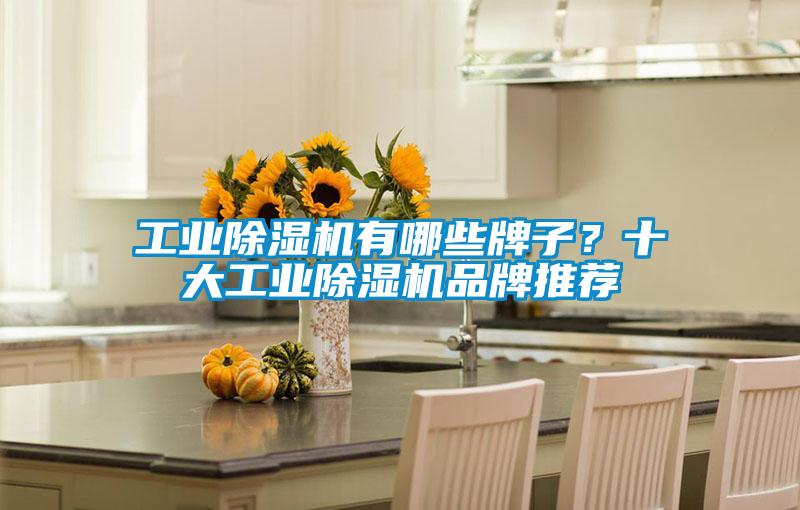 工業(yè)除濕機有哪些牌子？十大工業(yè)除濕機品牌推薦