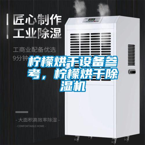 檸檬烘干設備參考，檸檬烘干除濕機