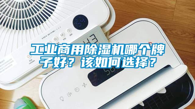工業(yè)商用除濕機(jī)哪個牌子好？該如何選擇？