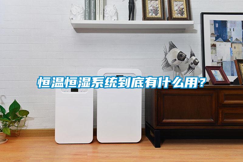 恒溫恒濕系統(tǒng)到底有什么用？