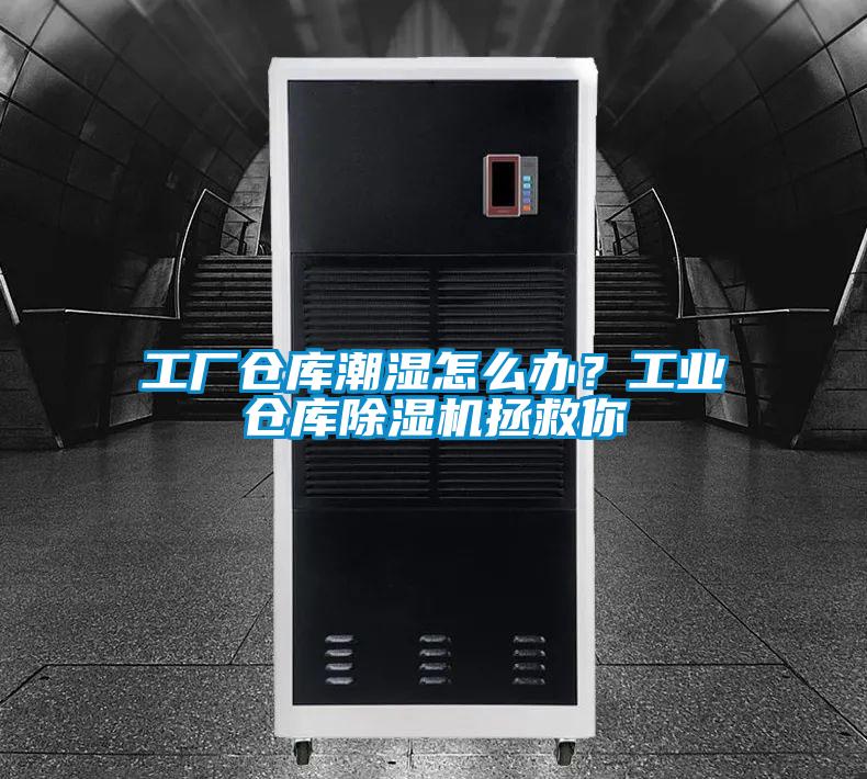 工廠倉庫潮濕怎么辦？工業倉庫除濕機拯救你