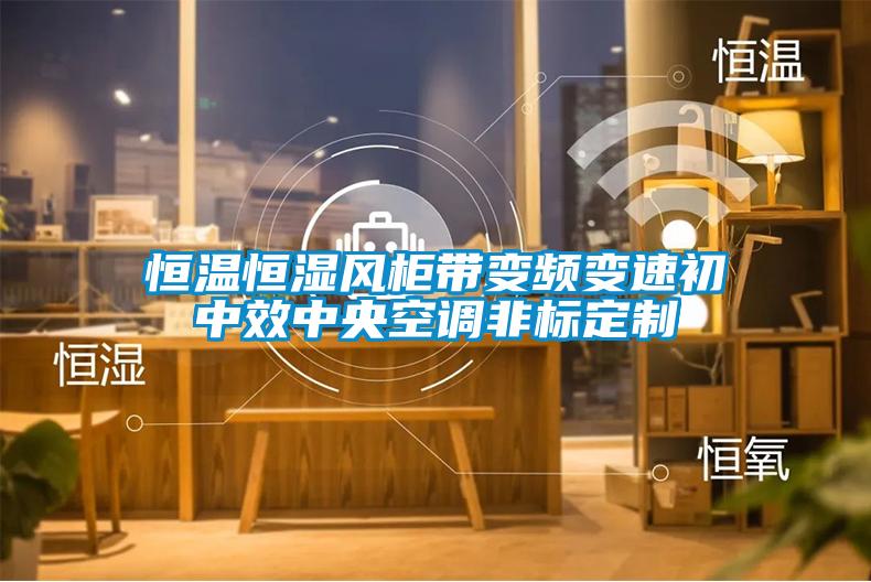 恒溫恒濕風柜帶變頻變速初中效中央空調(diào)非標定制