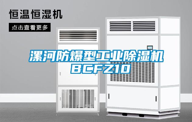 漯河防爆型工業(yè)除濕機(jī) BCFZ10