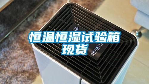 恒溫恒濕試驗箱現貨