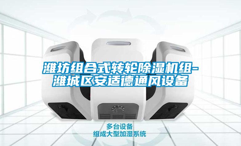 濰坊組合式轉輪除濕機組-濰城區安適德通風設備