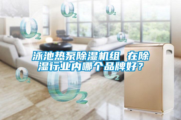 泳池熱泵除濕機組 在除濕行業內哪個品牌好？