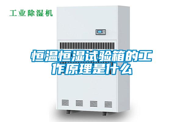 恒溫恒濕試驗箱的工作原理是什么