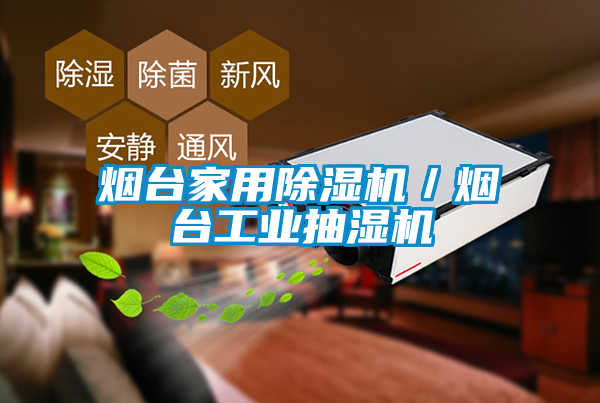 煙臺(tái)家用除濕機(jī)／煙臺(tái)工業(yè)抽濕機(jī)