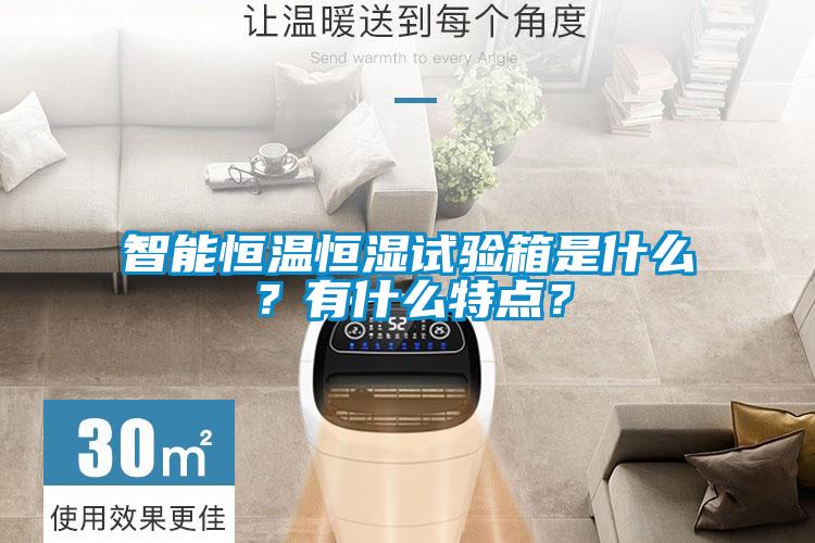 智能恒溫恒濕試驗箱是什么？有什么特點？