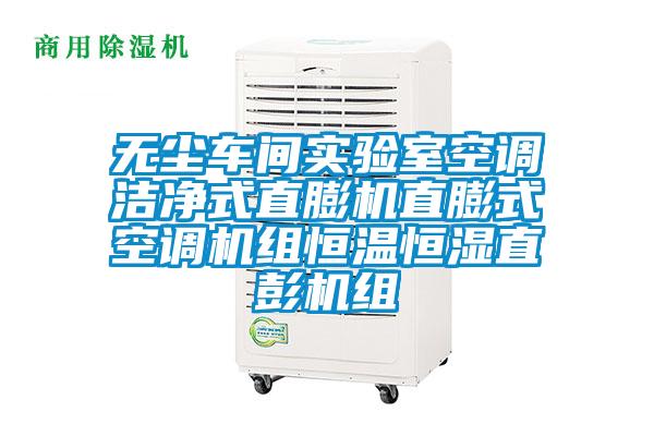無塵車間實驗室空調潔凈式直膨機直膨式空調機組恒溫恒濕直彭機組