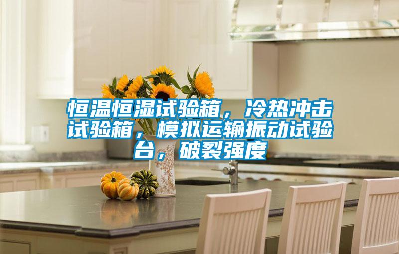 恒溫恒濕試驗(yàn)箱，冷熱沖擊試驗(yàn)箱，模擬運(yùn)輸振動(dòng)試驗(yàn)臺(tái)，破裂強(qiáng)度