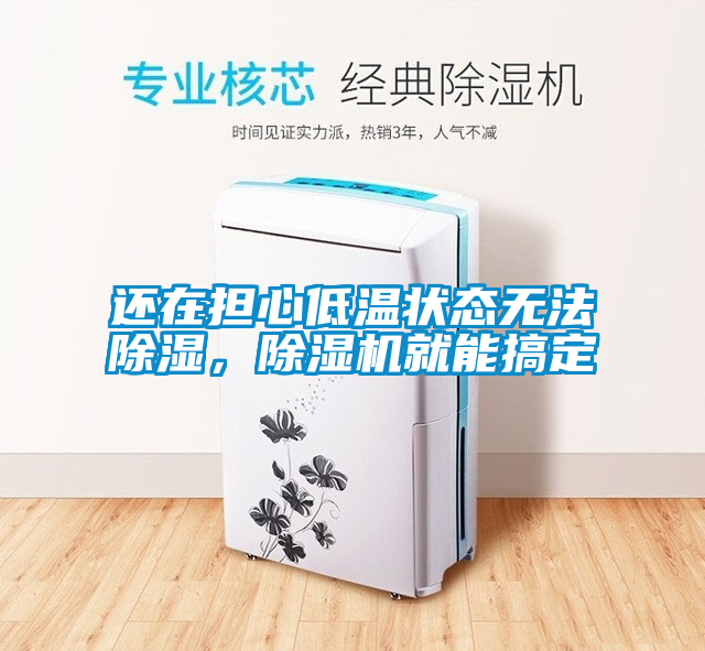 還在擔(dān)心低溫狀態(tài)無(wú)法除濕，除濕機(jī)就能搞定