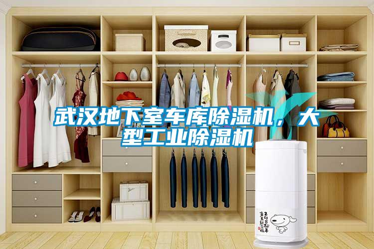武漢地下室車(chē)庫(kù)除濕機(jī)，大型工業(yè)除濕機(jī)