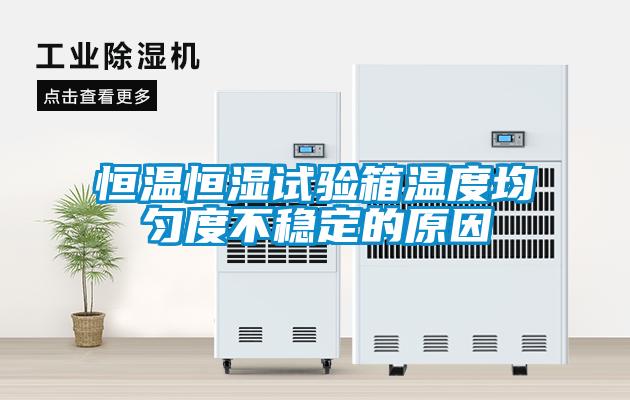恒溫恒濕試驗箱溫度均勻度不穩定的原因